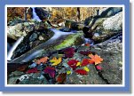 autumn-waterfall0014 * 1250 x 843 * (1.46MB)