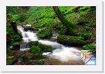 Spring * Spring Forest Waterfall Nature Pictures * (104 Slides)