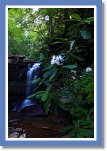 spring-waterfall0102 * 833 x 1250 * (1.13MB)