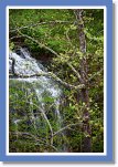 spring-waterfall0103 * 833 x 1250 * (1.33MB)