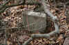 100yearoldheadstone2.jpg (327335 bytes)