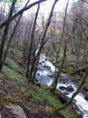 Creek and Valley below the Falls of Hills Creek