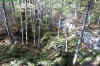 the awesome scenery