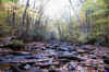 the middle of the creek at the waterfalls of Hills Creek in the West Virginia