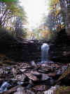 AUT_2616_waterfall.JPG (942618 bytes)