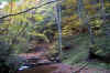 rugged looking rocks and fall leaves laying in the water