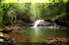 Boys fishing.jpg (320341 bytes)