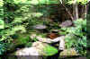 Elakala-Creek_creek.jpg (422141 bytes)