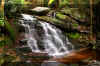 Elakala-magical-waterfall-2.jpg (318016 bytes)