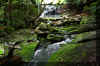 Elekala-8_waterfall.jpg (386235 bytes)