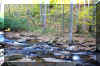 Fall_Creek_Scene.JPG (438857 bytes)