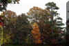 Fall_Snow.jpg (375391 bytes)
