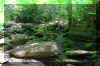 Fisher-Spring1_creek.jpg (400092 bytes)
