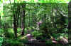 Fisher-Spring.jpg (495849 bytes)