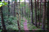 Highland-Scenic-Trail-1