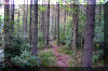 Highland-Scenic-Trail-2