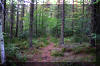 Highland-Scenic-Trail-3