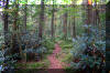 Highland-Scenic-Trail-4