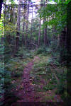 Highland-Scenic-Trail-5