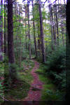 Highland-Scenic-Trail-7