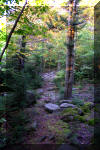Highland-Scenic-Trail-8