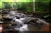HillsCreek4_creek.jpg (289911 bytes)