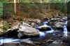 Hills_Creek_waterfall_2.JPG (368930 bytes)