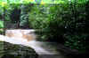 Holly-River-Middle-Waterfall_Raging-Power.jpg (324254 bytes)