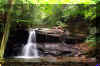 Holly River Waterfall.jpg (341812 bytes)