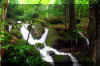 Holly_river_run_5.jpg (296445 bytes)