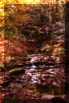 Judy-Springs-waterfall-1.jpg (457744 bytes)