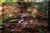 Judy-Springs-waterfall.jpg (457627 bytes)