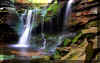 Magical_elakala-waterfall-2.jpg (313747 bytes)