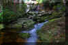 Magical_elakala-waterfall-4.jpg (314747 bytes)