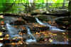 Seneca-waterfalls-4.jpg (355638 bytes)