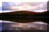 Spruce-knowb-fall-lake-2.jpg (131289 bytes)