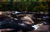 Valley-Waterfalls.jpg (255481 bytes)