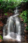 Waterfall-run-in-the-forest.jpg (301150 bytes)