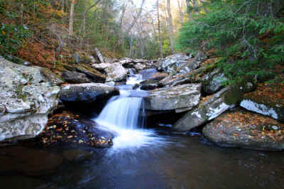 Waterfall_hills_Creek.JPG (337443 bytes)