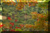 Winecellar-lake_fall.jpg (261575 bytes)