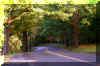 country-roads.jpg (412216 bytes)