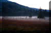 cranberry-glades-fog-3.jpg (153486 bytes)