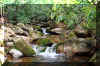 cranberryrun2_creek.JPG (398079 bytes)