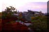 dolly-sods-fall-morning-6.jpg (200654 bytes)