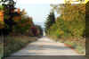dolly-sods-fall-road.jpg (422406 bytes)