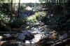 elakala_fall_creek.JPG (373368 bytes)