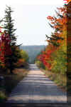 fall-Road-Dolly-sods.jpg (320225 bytes)