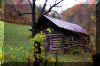 fall-old-shed.jpg (382433 bytes)