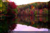 fall-wine-cellar-lake-trees.jpg (251107 bytes)