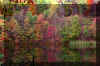 fall-winecellar-lake.jpg (409182 bytes)